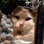AnnMarie King's profile image
