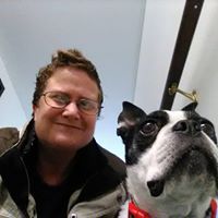 Kim Schultz's profile image