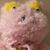 Debi Peterson's profile image