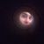 Anthony Giannattasio's profile image