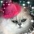 Peggy Egan's profile image