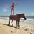 Erica Clute's profile image
