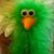 Mary Hammers's profile image