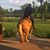 Tricia'Rusty Gwyn's profile image