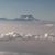 Debbie Buback's profile image