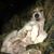 Emily Tordi's profile image
