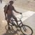 Gaetano M Romeo's profile image