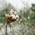 Linda Ann Riley's profile image