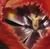 mnogo's profile image