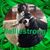 Amy Sebastian Scoville's profile image
