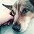Sharon Culbertson's profile image