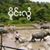 Sai Mong Loi's profile image