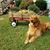 Judy Humenik Henderson's profile image