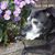 Heidi Carley's profile image