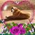 Francine Rice-Laabs's profile image