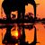 Keith Poulsen's profile image