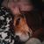 Jennifer Sue Prager's profile image