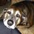 Susanne Pancoe O' Brien's profile image