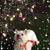 Diane Schroeder's profile image