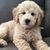 Vincent H. Valenzuela's profile image