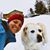 Anne Tepe Gambetta's profile image