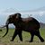 Josette Buehlman's profile image