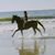 Darlene Leivonen's profile image