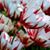 Malinda Jean Prather's profile image