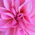 Deb Buffington's profile image