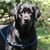 Sue Torpy's profile image