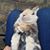 Debs Dowling's profile image