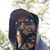 Tom Resh's profile image