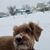 Jason Steinbach's profile image