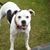 Diane Jung-Sorenson's profile image