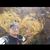 Rodriguez Castillo's profile image