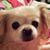 Tarra LaValley's profile image