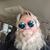 Bob Perkins's profile image