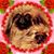 Marey Ringwig's profile image