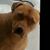 Tom Crossen's profile image