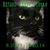 Izzy Ramone's profile image
