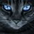 MandM's Critter Cottage's profile image