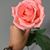Meg Brillantes's profile image