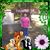 Deborah Maier Nakhla Nelson's profile image