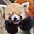 Wyczesany Eustachy Onufry's profile image