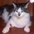 Jamilet Valentin's profile image
