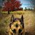 Dave Lenser's profile image