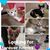 Barbara Ann Prior Hardin's profile image