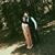 Zaza Shukakidze's profile image