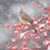 Deirdre Cline-Johnson's profile image