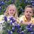 Patricia Brantley Rigdon-Deacon's profile image
